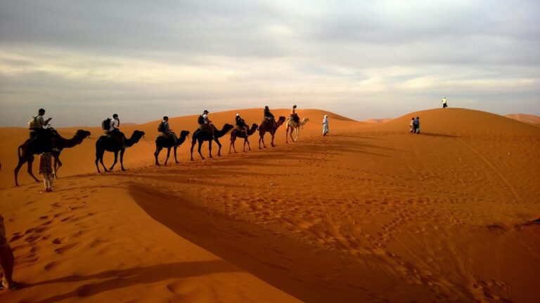 Consejos-para-visitar-el-desierto-del-Sahara-por-primera-vez-scaled
