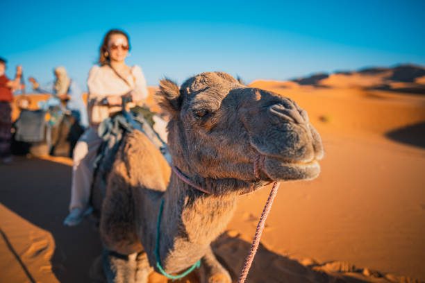 Excursiones al Desierto Desde Marrakech