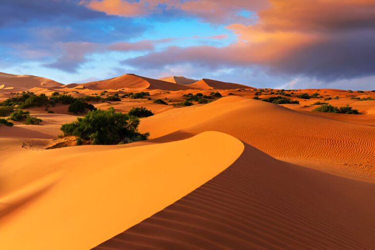 Qué animales hay en el desierto del Sahara