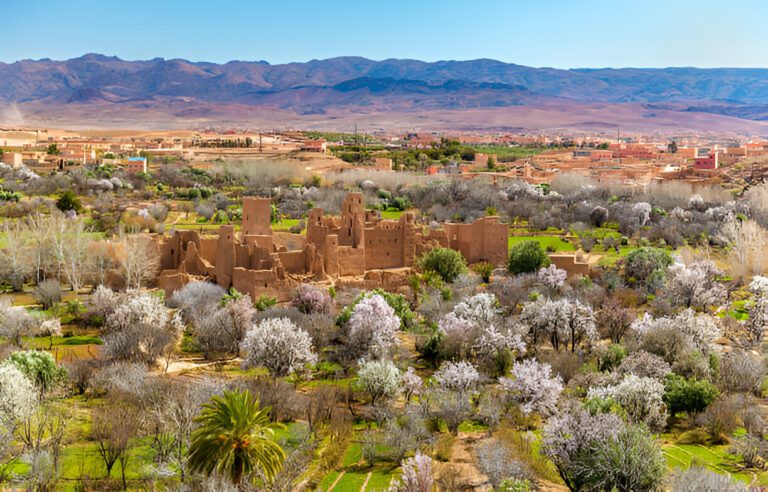 Valle de Rosas Marruecos