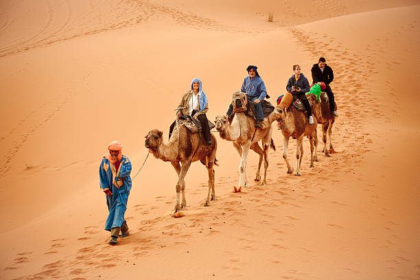 tours y excursiones desde Marrakech lo Mejor de 2025