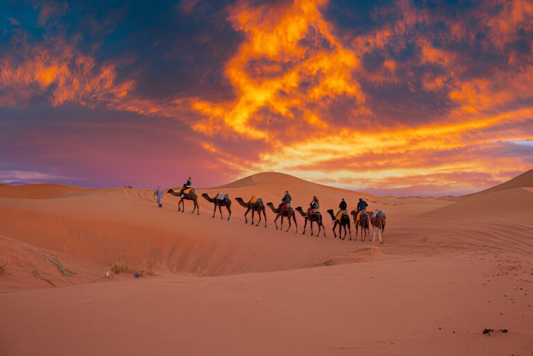 Excursión Desierto Marrakech
