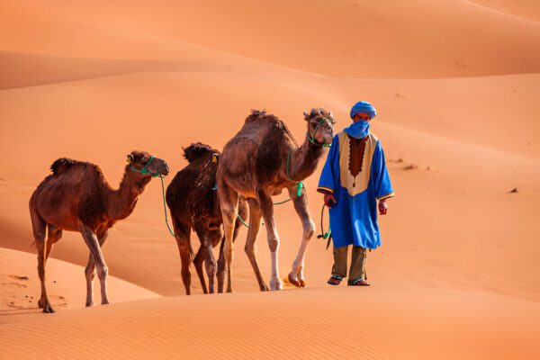 Tour Sahara Marrakech