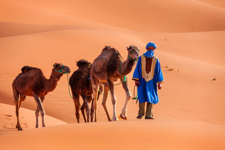 Tour Sahara Marrakech