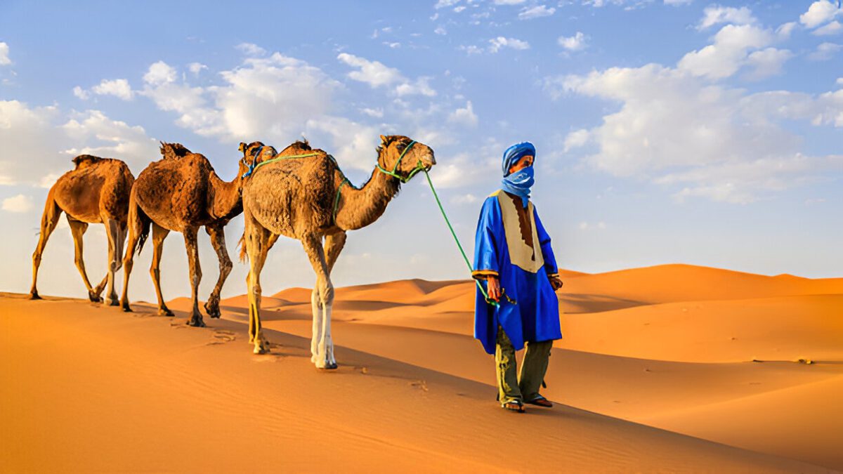 las Mejores Excursiones desde Marrakech