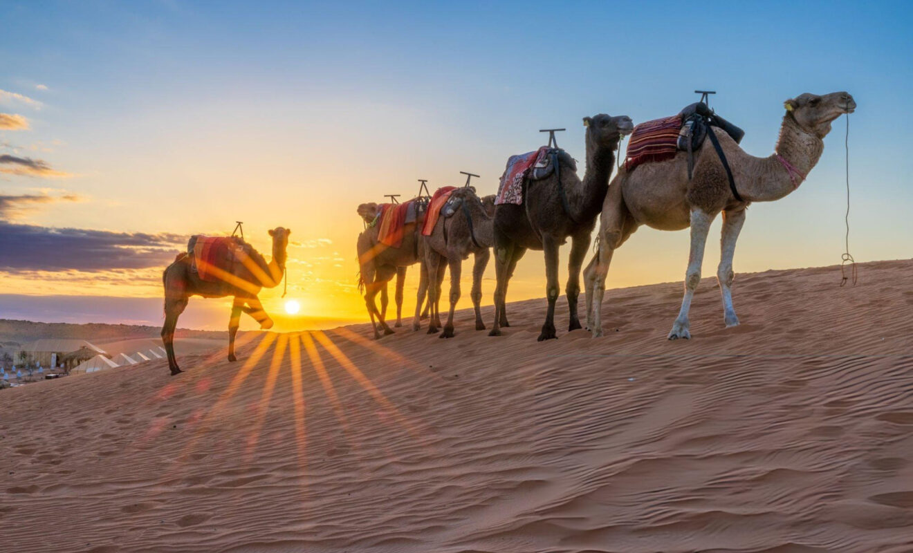 Amanecer entre las dunas del Sahara