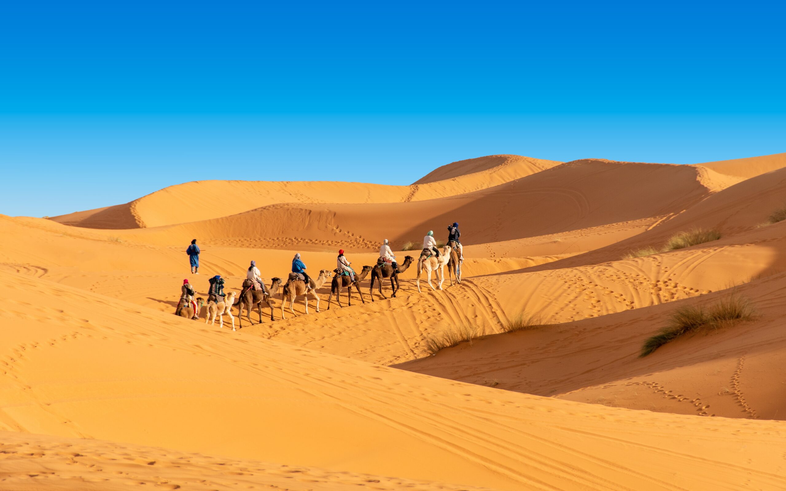 Tour de 2 días desde Marrakech a Zagora, ruta básica al desierto de Marruecos