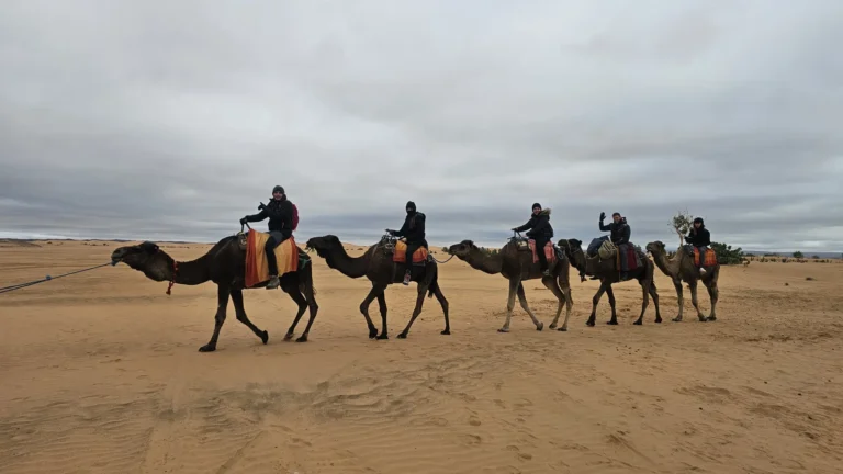 Tour de 2 días desde Marrakech a Zagora