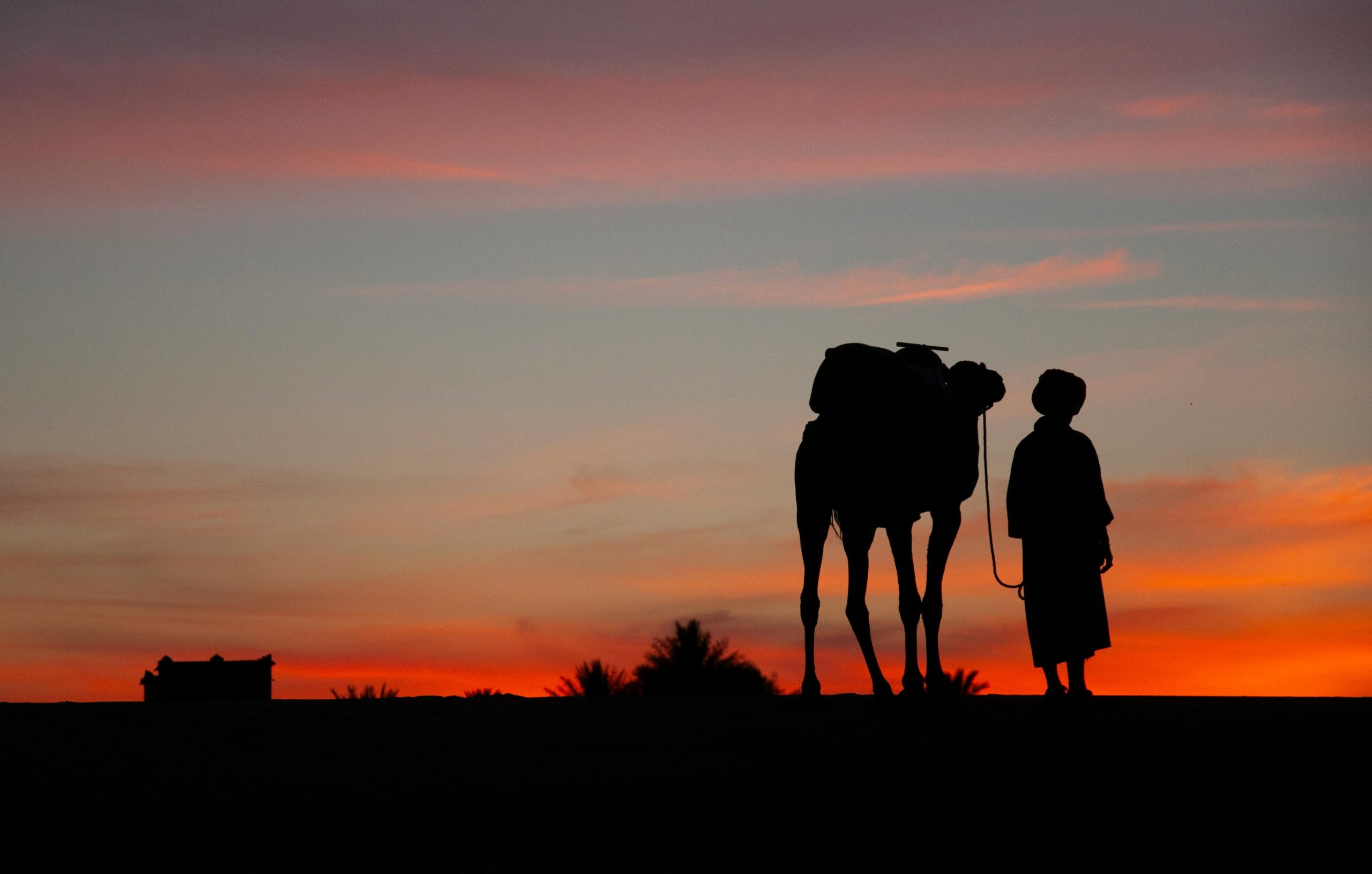 Es mejor un tour privado o compartido al desierto de Marruecos