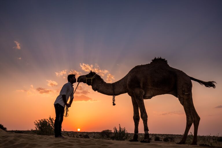 Mejor agencia para viajar a Marruecos