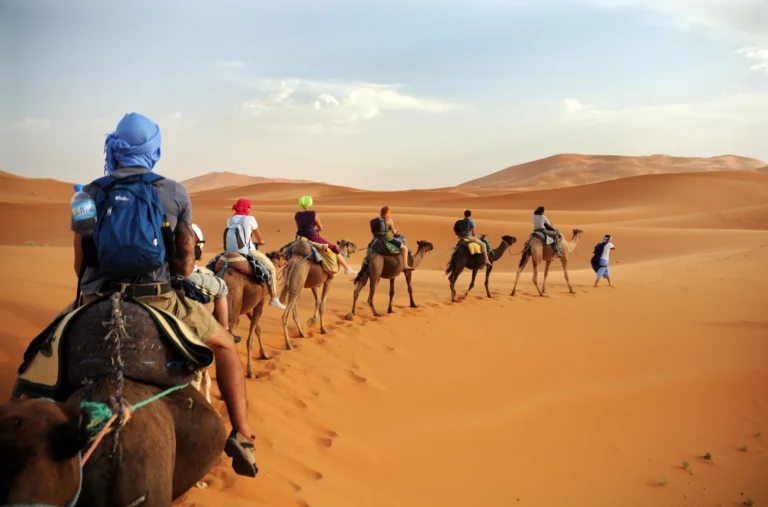 paseo en camello desierto