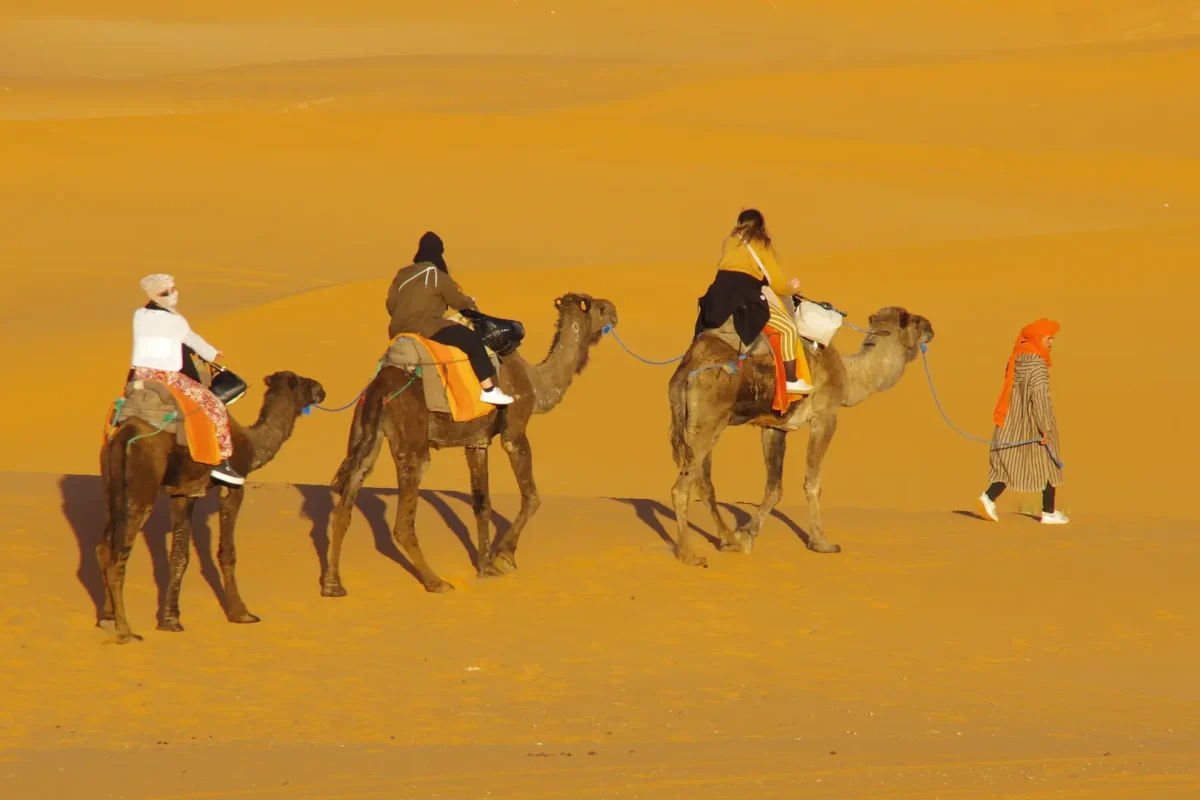 Tour 5 Días Marrakech – Merzouga: Inmersión Total en el Sahara . desierto-del-sahara-paseo-en-camello-marruecos