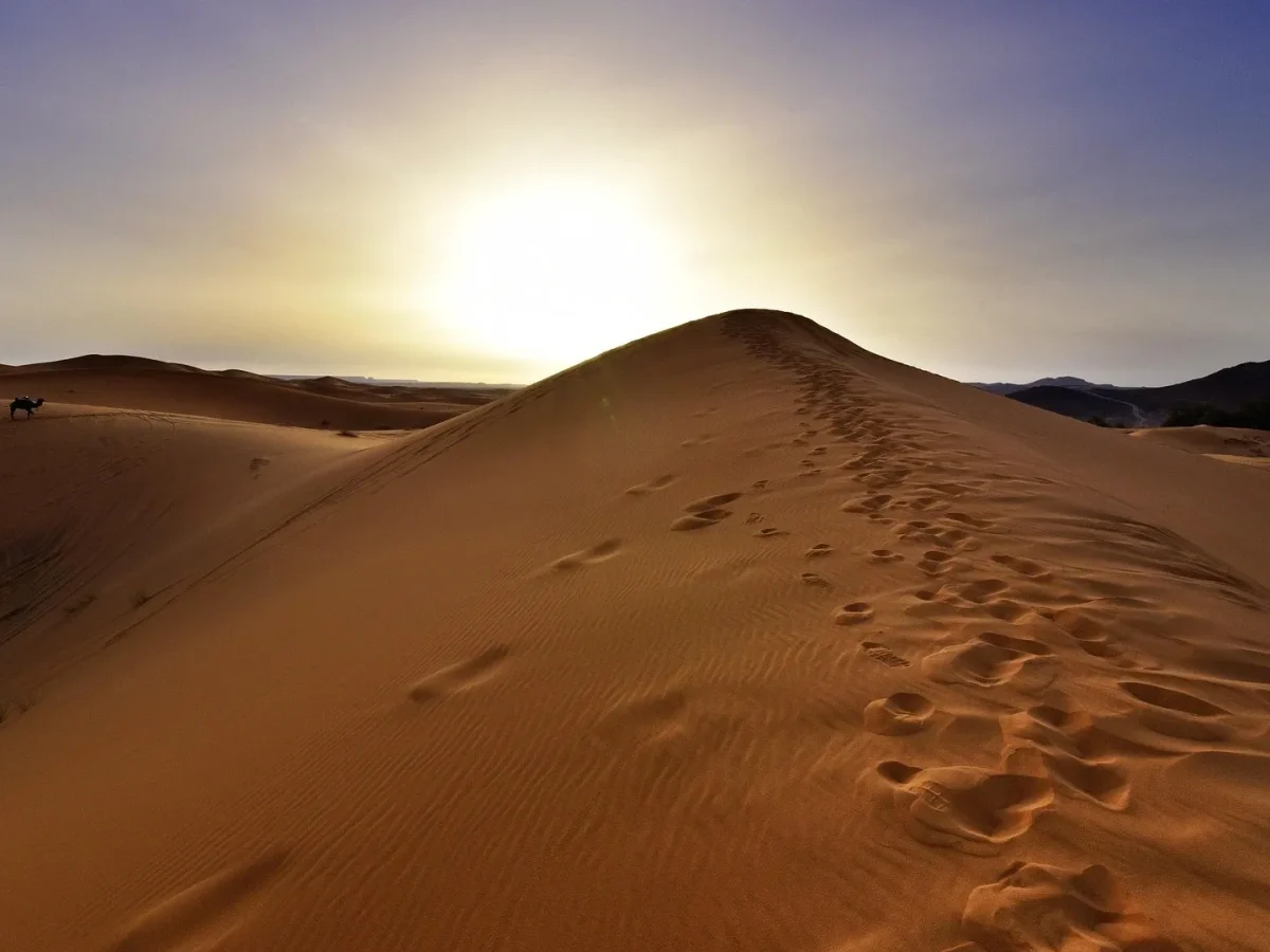 desierto-sahara-marruecos-saharadunes